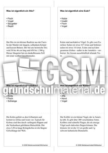 Quiz-Karten-Tiernamen 37.pdf